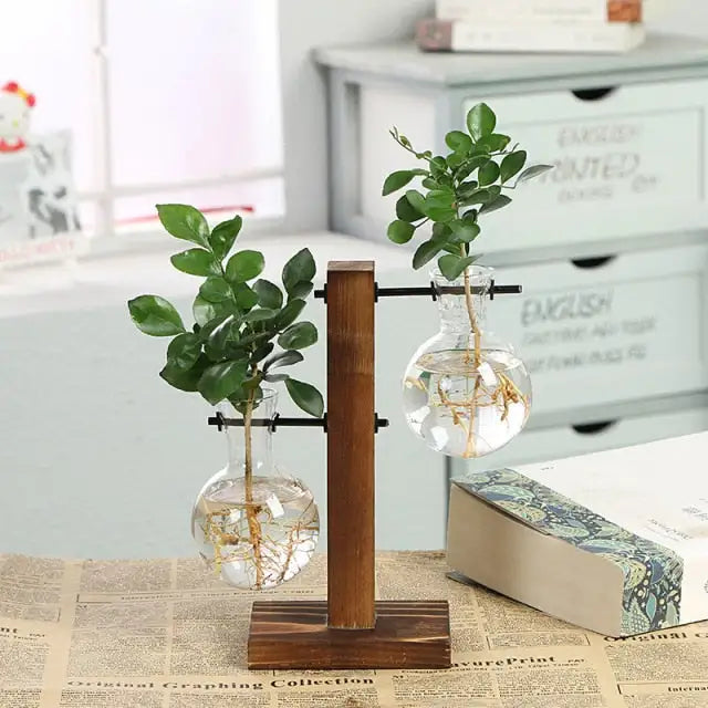 Transparent Plant Vases